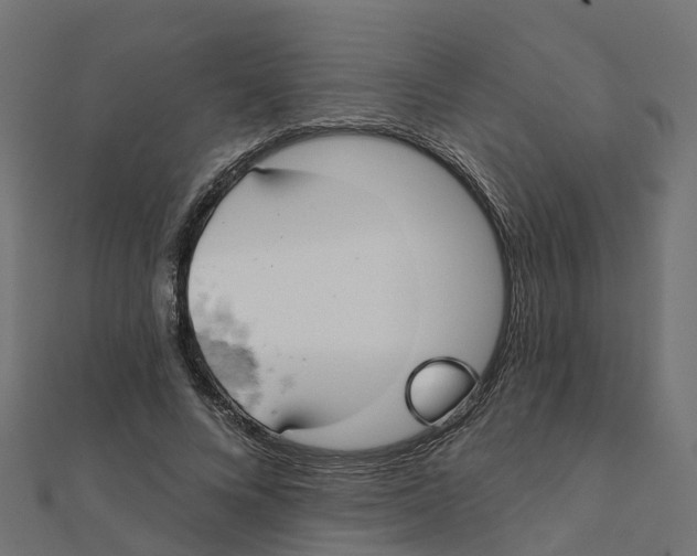X0000111240688200907301307