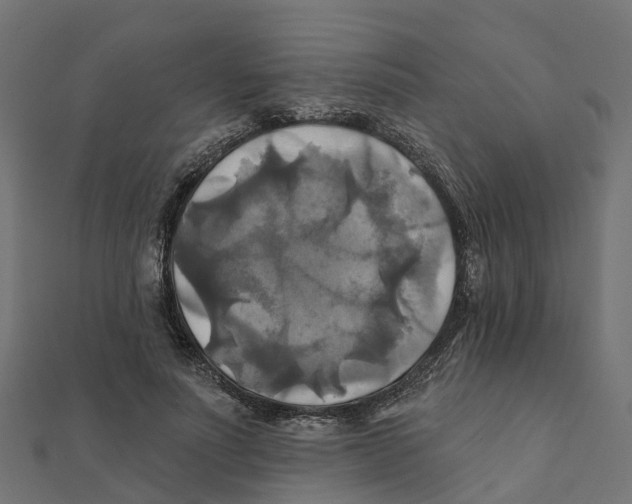 X0000111240691200907301307