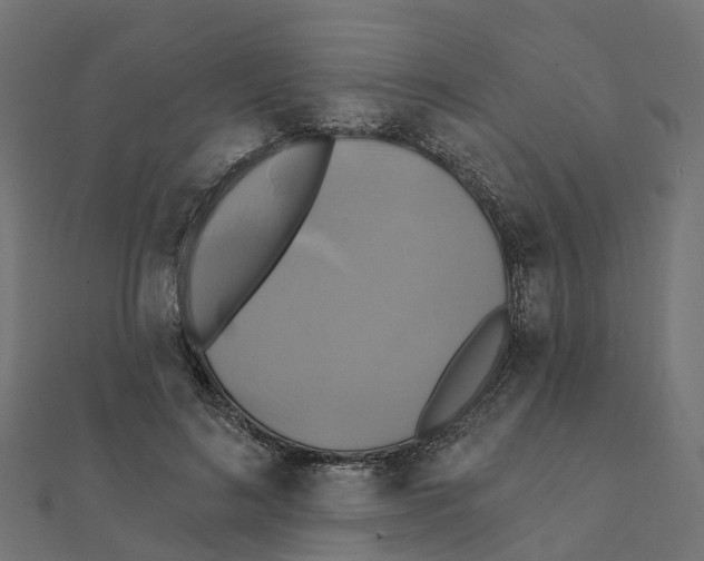 X0000111240692200907301307