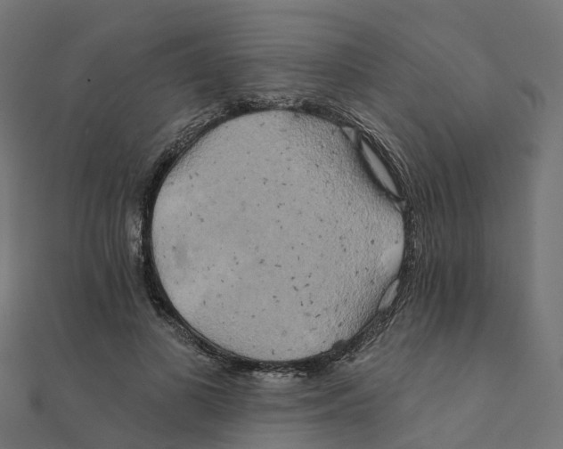 X0000111240693200907301307