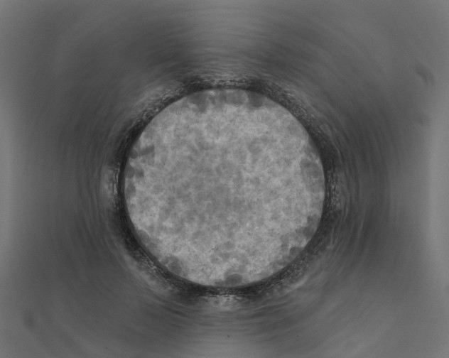 X0000111240695200907301307