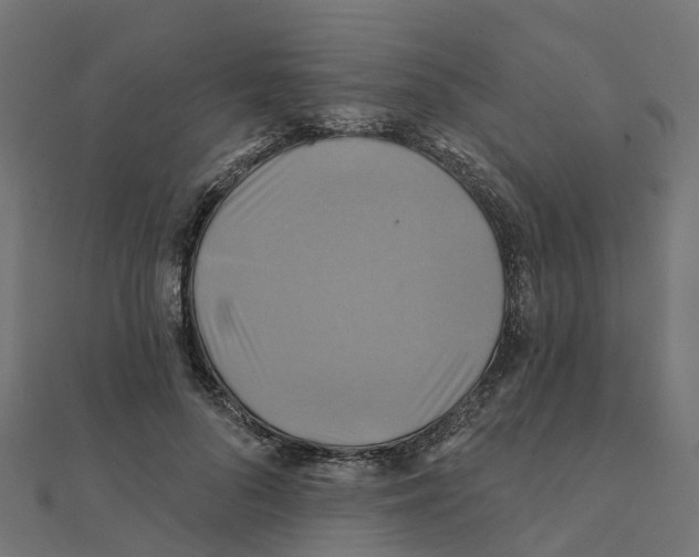 X0000111240696200907301307