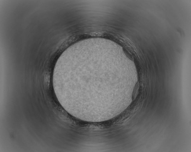 X0000111240697200907301307