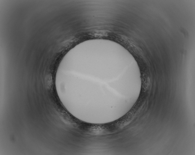 X0000111240704200907301307
