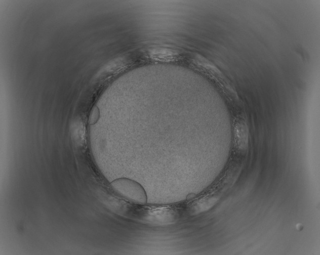 X0000111240705200907301307