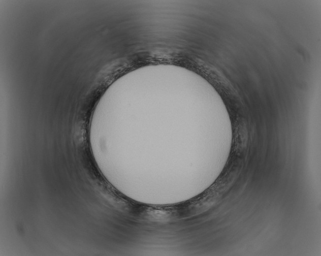 X0000111240706200907301307