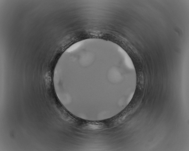 X0000111240707200907301307