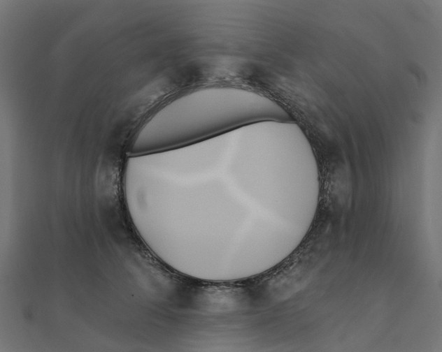 X0000111240708200907301307