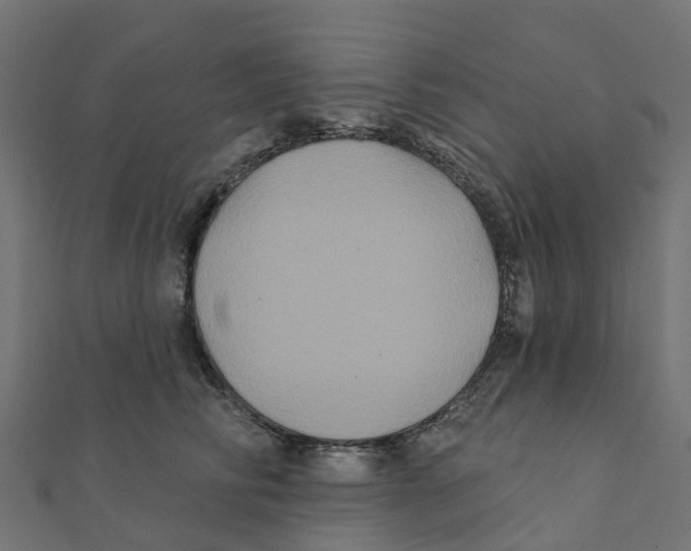 X0000111240710200907301306