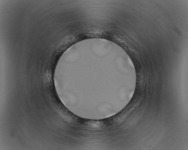 X0000111240711200907301306
