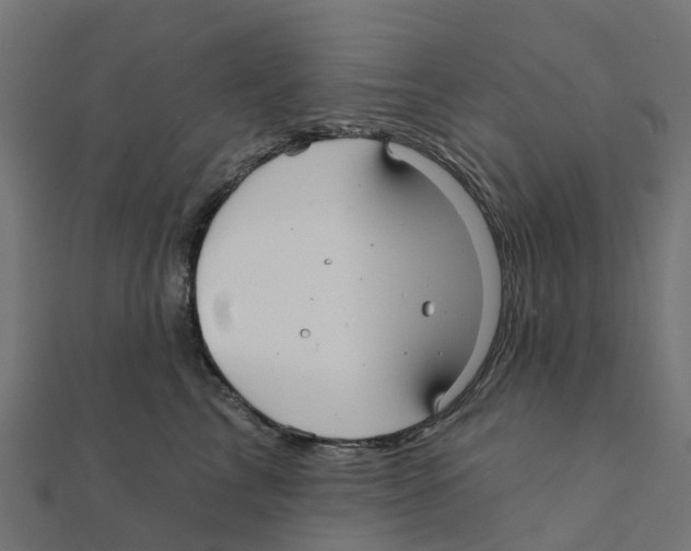 X0000111240713200907301306