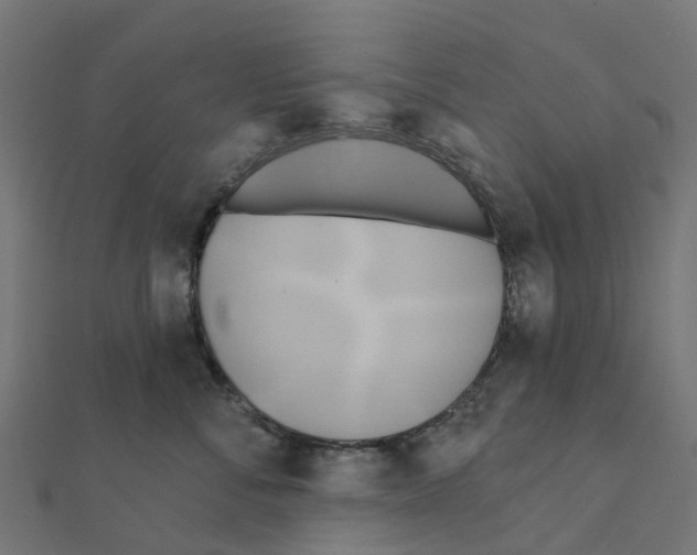 X0000111240716200907301306