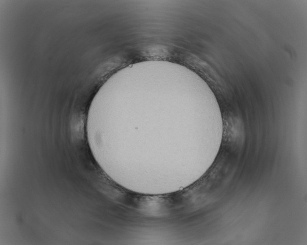 X0000111240717200907301306