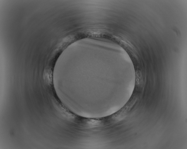 X0000111240718200907301306