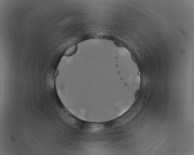 X0000111240719200907301306