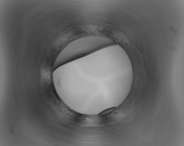 X0000111240720200907301306