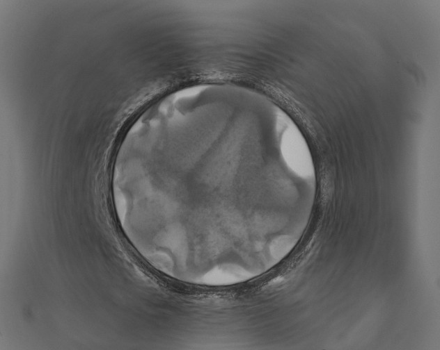 X0000111240721200907301306