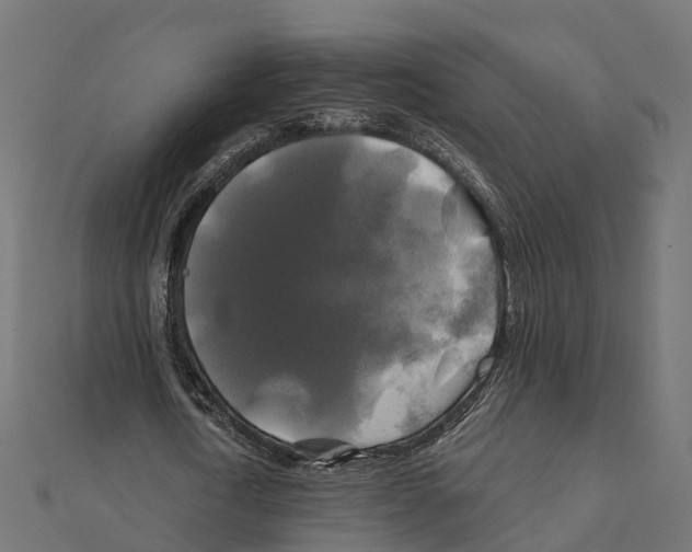 X0000111240722200907301306