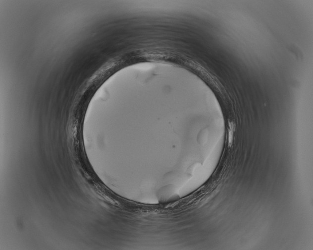 X0000111240723200907301306