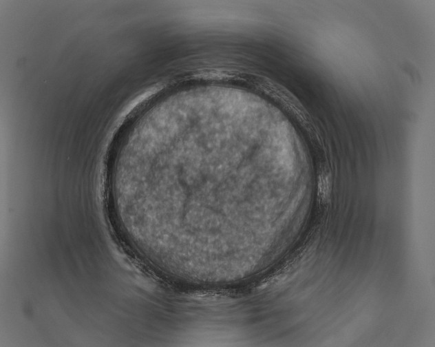 X0000111240724200907301306