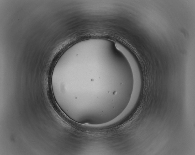 X0000111240725200907301306