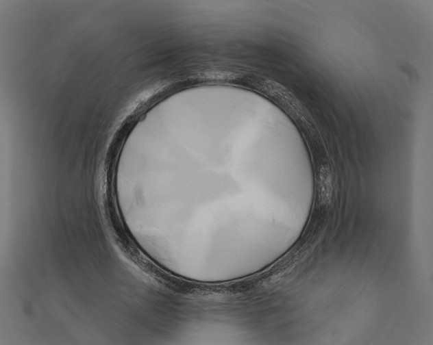 X0000111240726200907301306