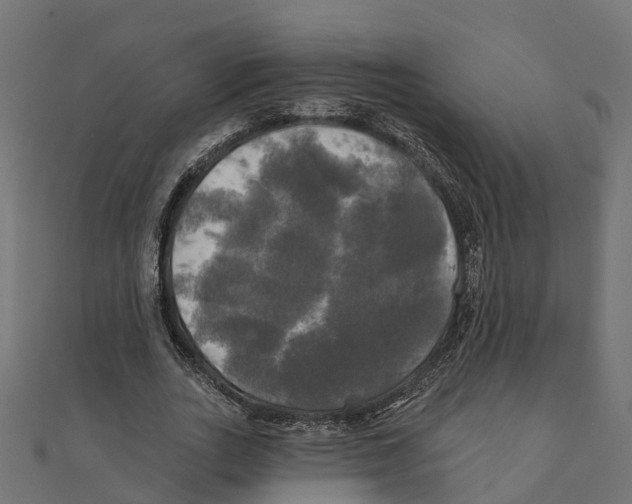 X0000111240727200907301306