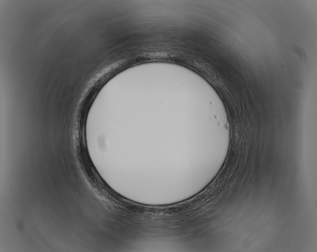X0000111240728200907301306