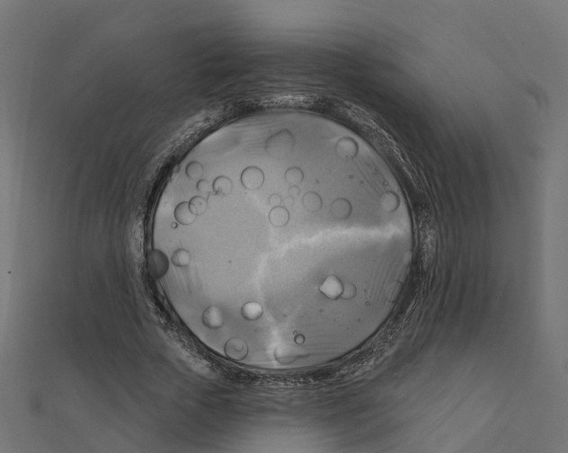 X0000111240729200907301306