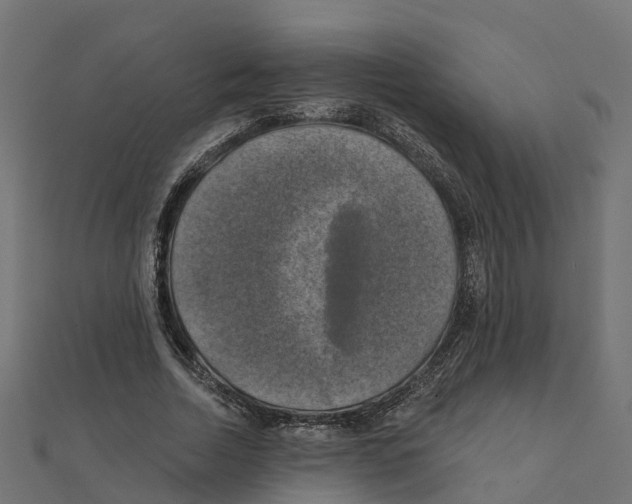 X0000111240730200907301306