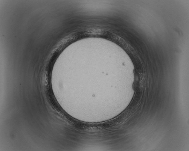 X0000111240731200907301306
