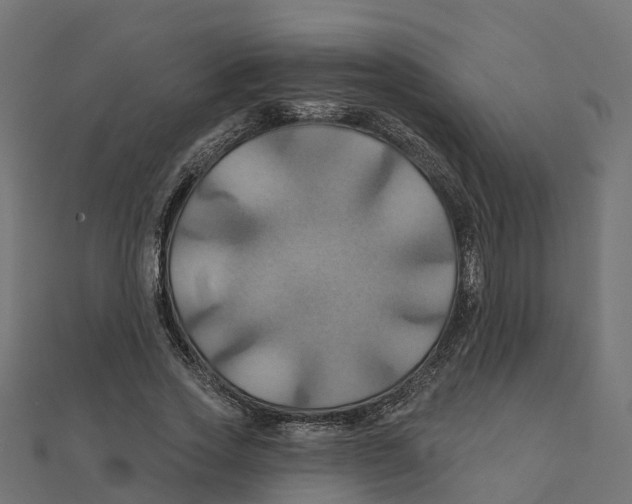 X0000111240733200907301306