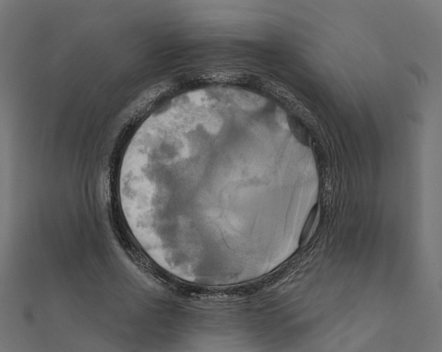 X0000111240734200907301306