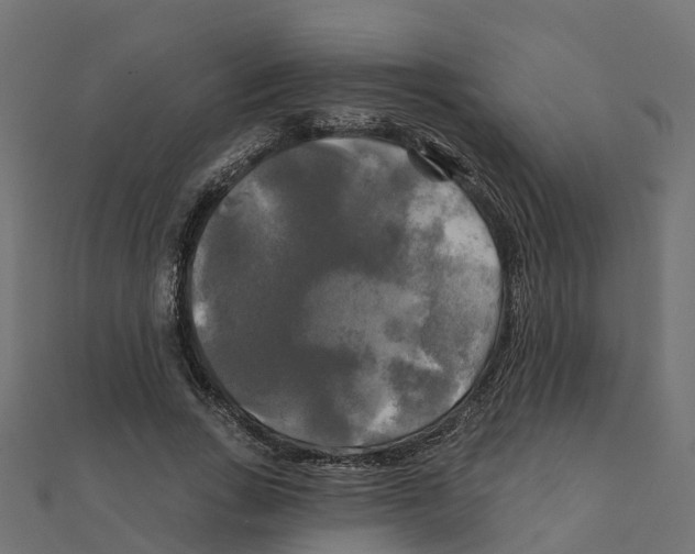 X0000111240735200907301306