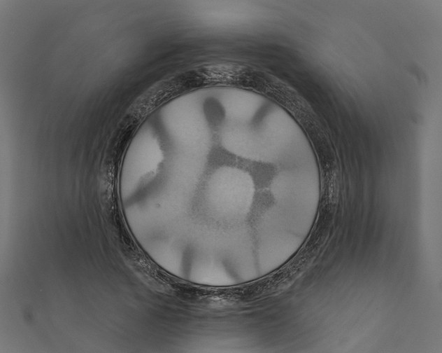 X0000111240737200907301306