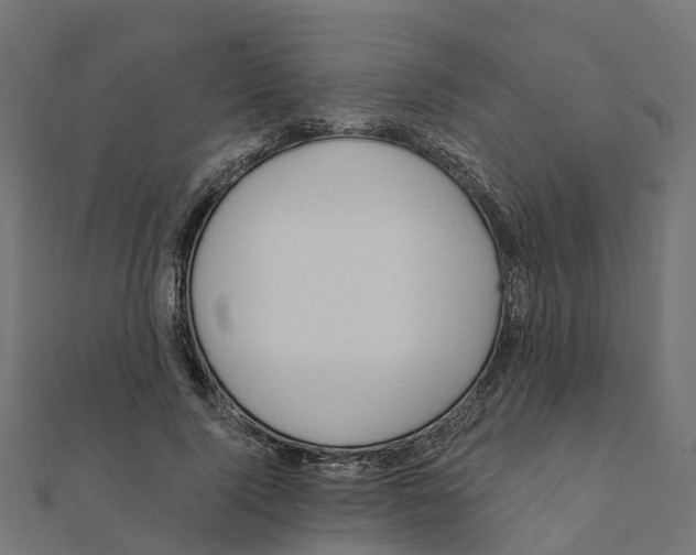 X0000111240740200907301306