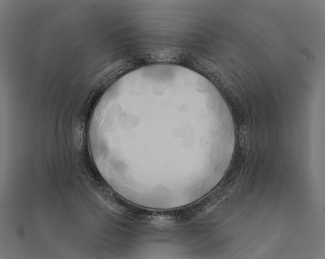 X0000111240741200907301306