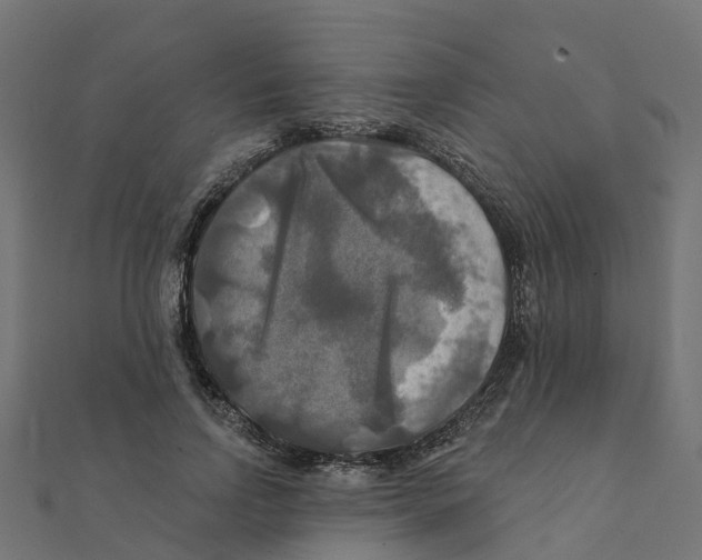 X0000111240742200907301306