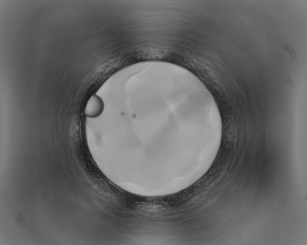 X0000111240743200907301306