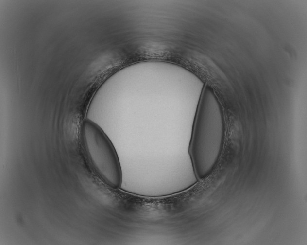 X0000111240744200907301306