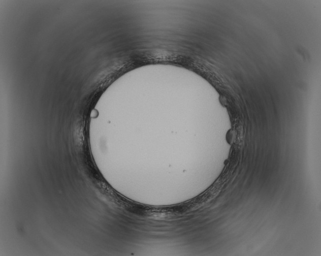 X0000111240746200907301306
