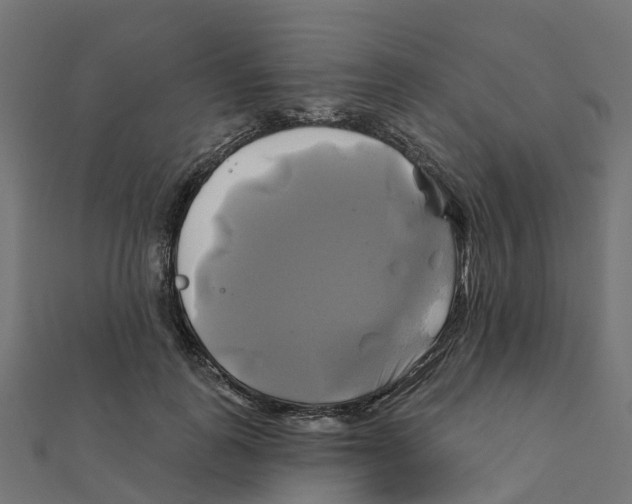 X0000111240747200907301306
