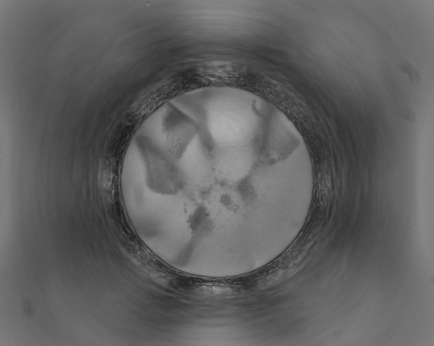 X0000111240749200907301306