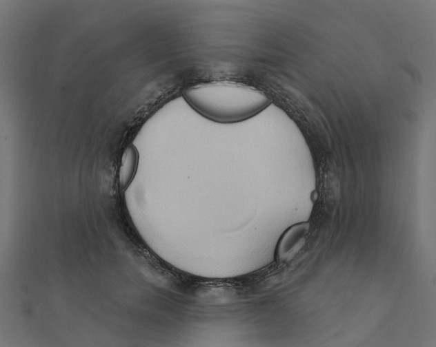 X0000111240750200907301306