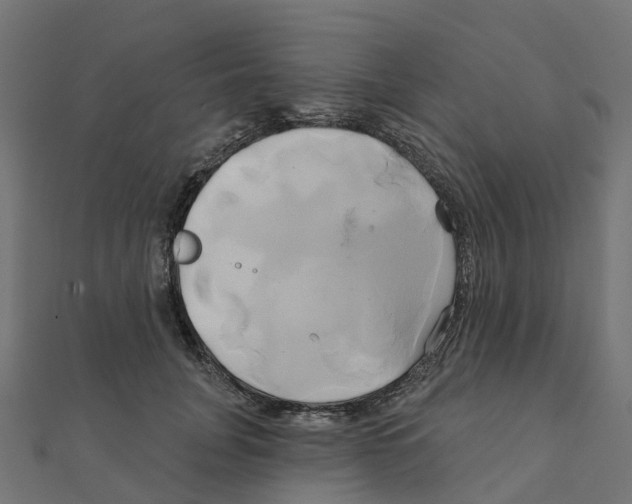 X0000111240751200907301306