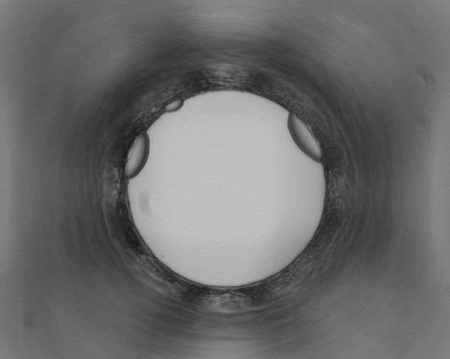 X0000111240752200907301306