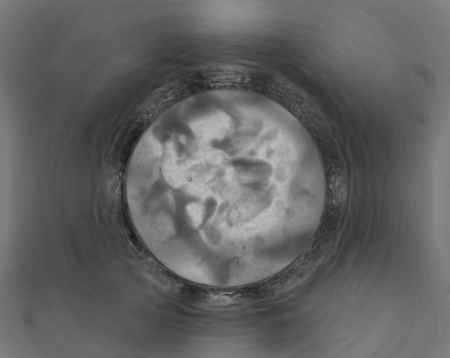 X0000111240753200907301306