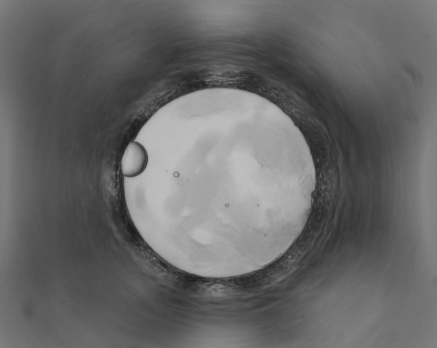 X0000111240755200907301306