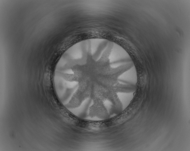 X0000111240757200907301306