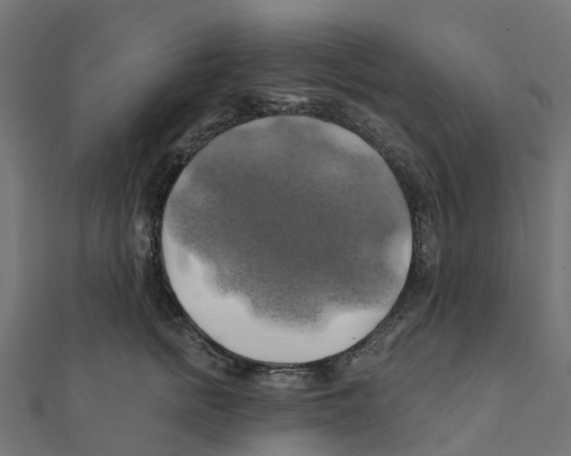 X0000111240758200907301306